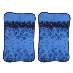 2 PVC été Refroidissement Oreiller Maison Bureau Sommeil Sieste Glac...