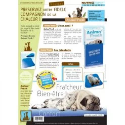 AnimoFresh Coussin Rafraichissant