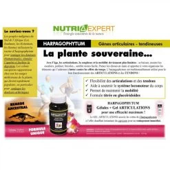 Harpagophytum Gélules Muscles Et Articulations -Magasin de matériel de chauffage professionnel harpagophytum gelules muscles et articulations 9682586 25083306 1140x1140