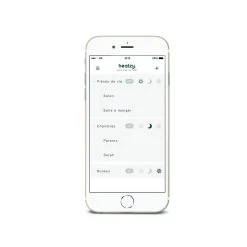 Boitier De Contrôle De Chauffage -Magasin de matériel de chauffage professionnel heatzy3