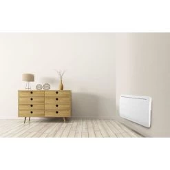 VOLTMAN - Radiateur En Fonte - 1000 Watts - Detecteur De Fenetre Ouver... -Magasin de matériel de chauffage professionnel vom540034 ambiance 1